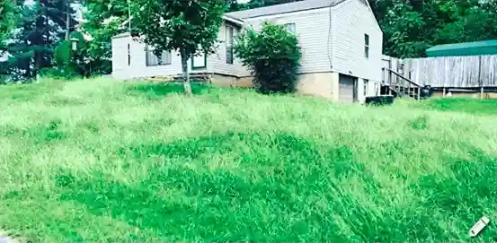 Lawn care service started by vendor 5 on GreenPal platform in San Jose CA