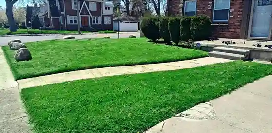 Yard maintenance completed by vendor 7 through GreenPal platform in San Jose CA