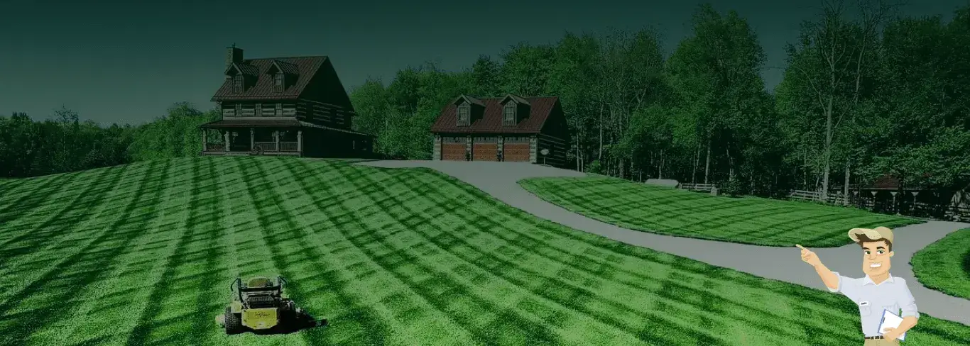 Professional lawn mowing and local yard care services in Chino, CA