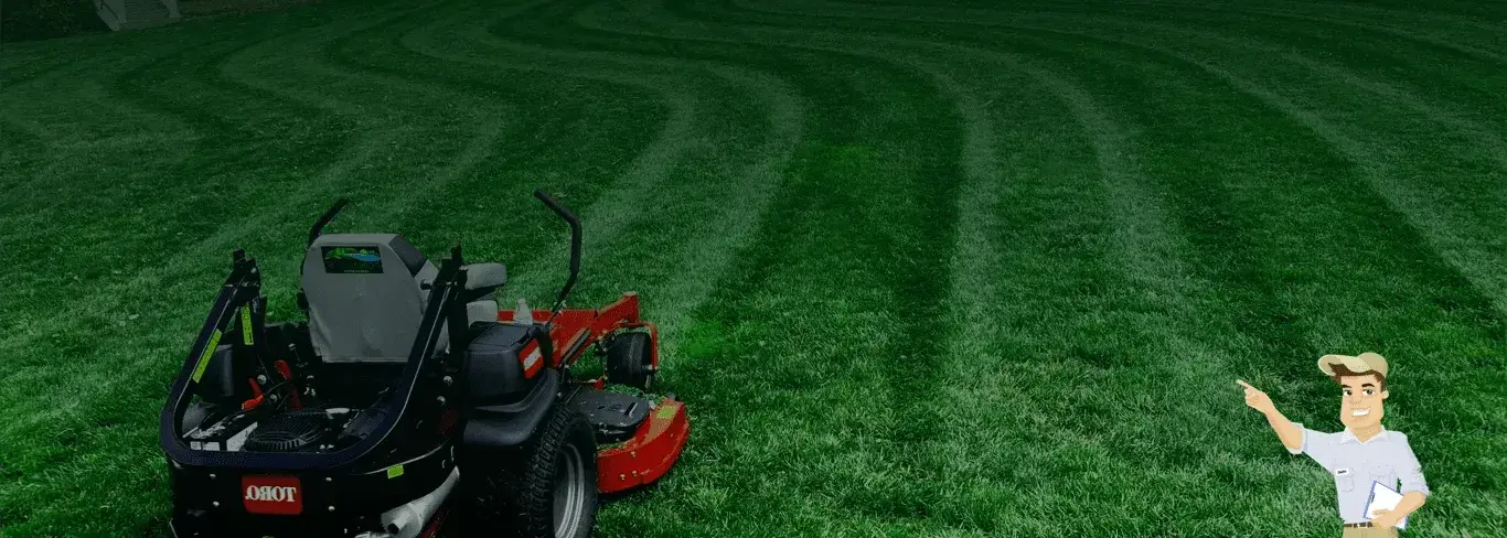 Professional lawn mowing and local yard care services in San Jose, CA