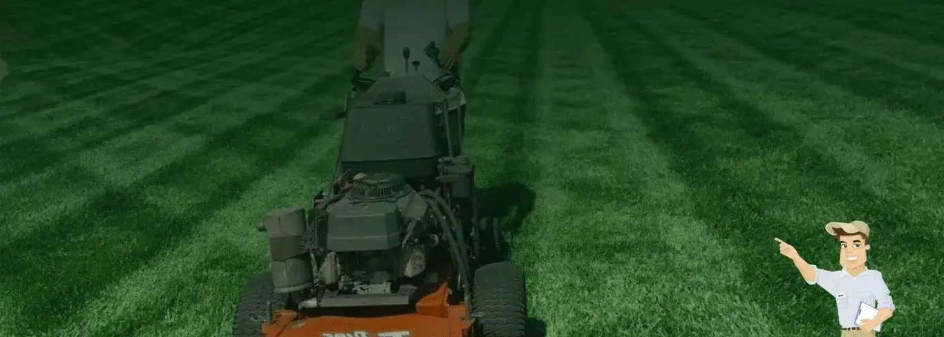 Professional lawn mowing and local yard care services in Los Angeles, CA