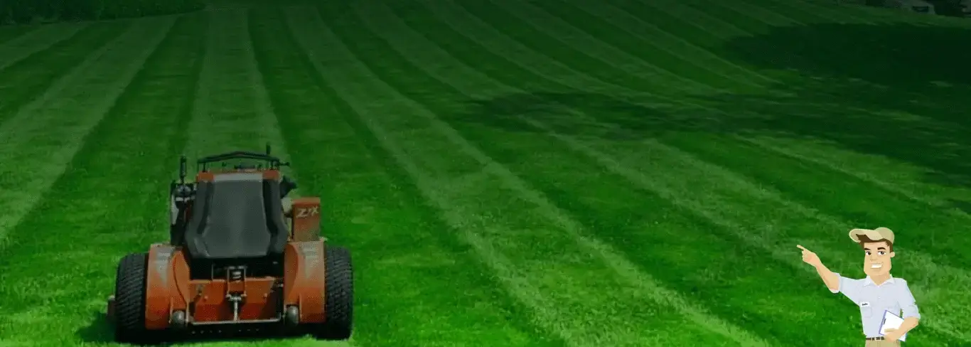 Professional lawn mowing and local yard care services in San Diego, CA